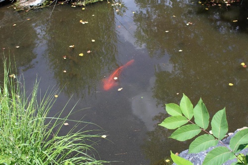 The Inn at White Oak image 42